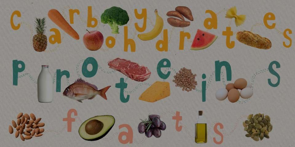 THE NUTRITION BASICS