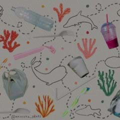 PLASTIC POLLUTION SOLUTIONS