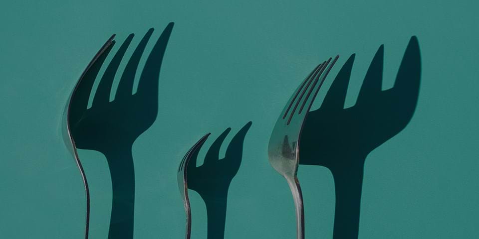 FASTING DIETS
