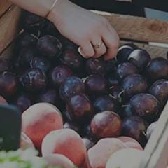 THE ORGANIC ADVANTAGE