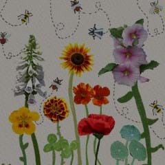 What are insects telling us?