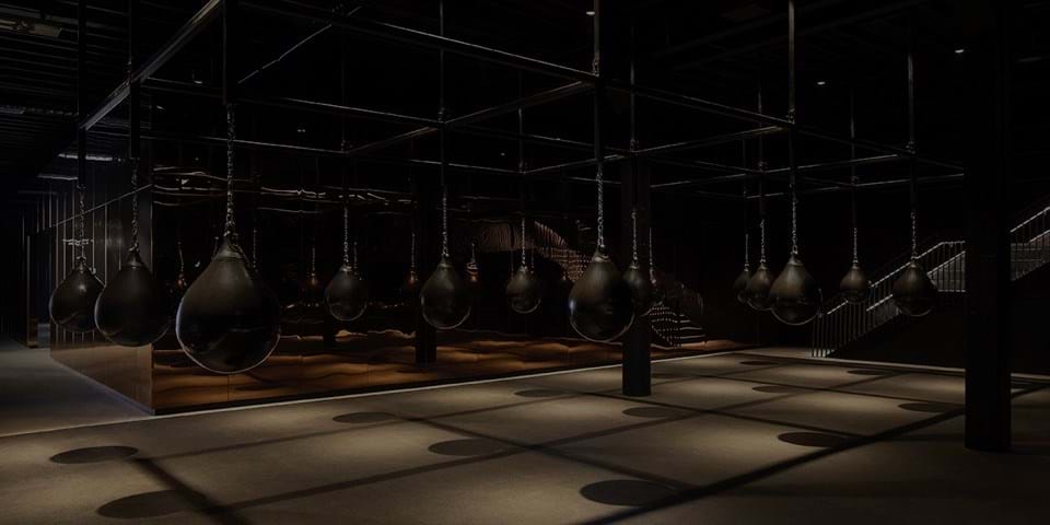 As últimas inovações que estão sendo testadas em Auckland