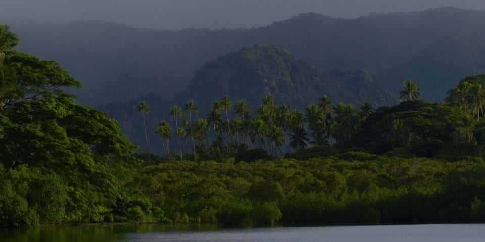CARBON OFFSETTING
