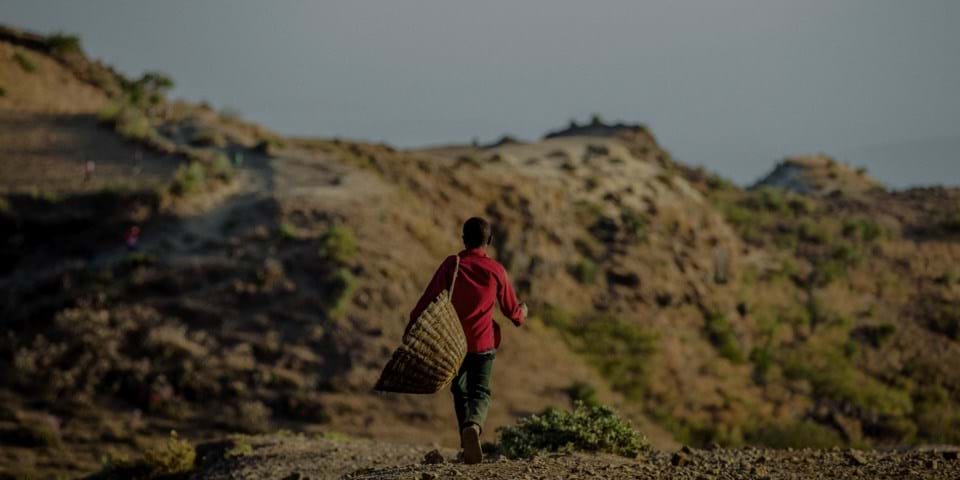 DIANA E DAN EM POR QUE PARTICIPAR DO WORKOUT FOR WATER