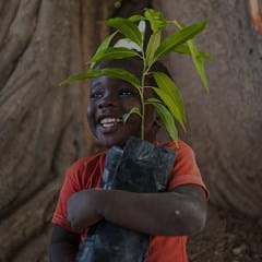 Fit Planet_TREES_240x240.jpg