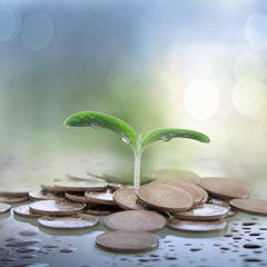 Design sem nome (4).png