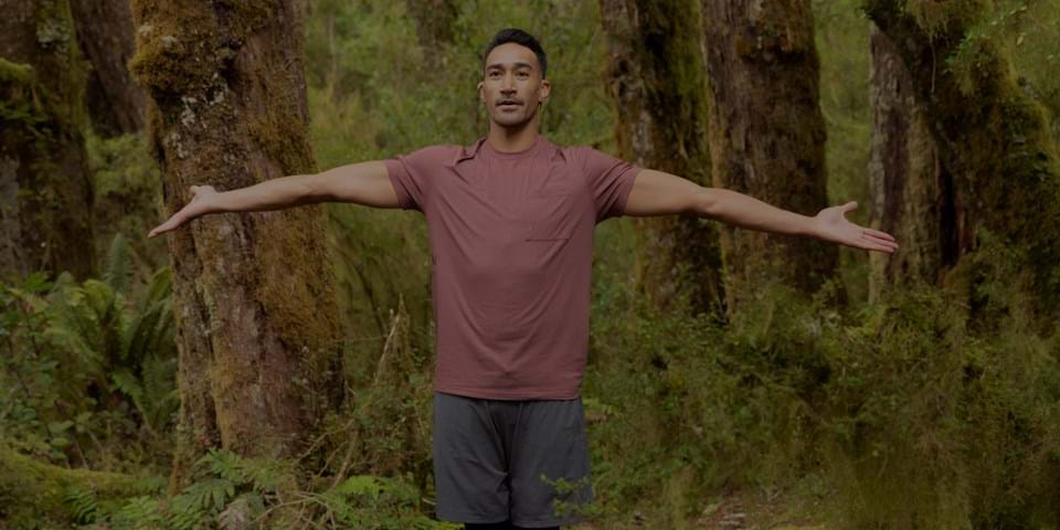 THE GREEN FORMULA FOR WELLNESS