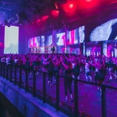 Q1’25 RELEASE HIGHLIGHTS 