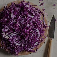 fermented-foods-240x240