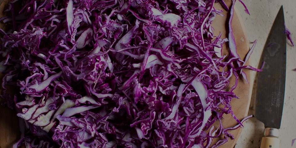 Fantastic Fermentation 