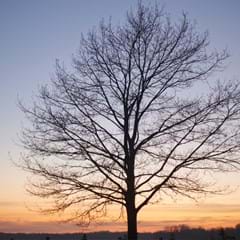 DEIN EARTH DAY LEITFADEN