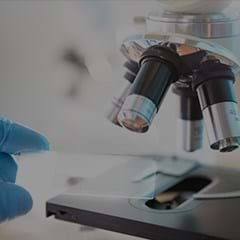 microscope-article-2.jpg