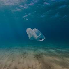 THE PROBLEM WITH PLASTIC
