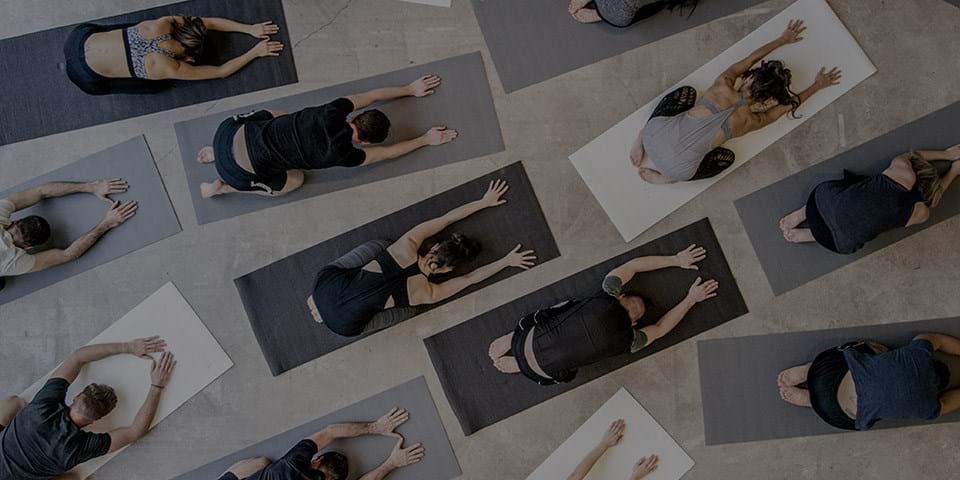 YOGA SCIENCE