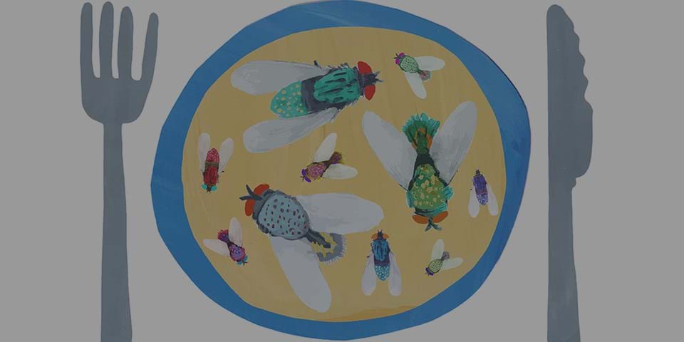 WOULD YOU LIKE FLIES WITH THAT?