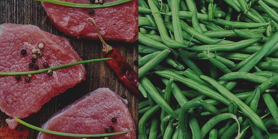 ANIMAL VS PLANT PROTEIN