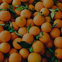 Vitamin C_240x240.jpg